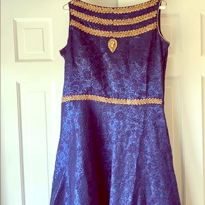 Indo Western Gown